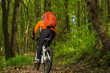 Image showing Cyclist Riding the Bike on a Trail in Summer Forest