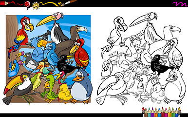 Image showing bird characters coloring book