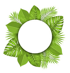 Image showing Clean Card with Text Space and Green Tropical Leaves