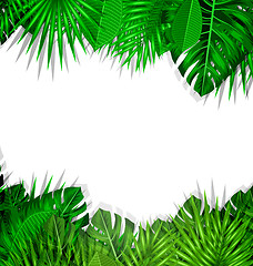 Image showing Frame Tropical Leaves Summer Background