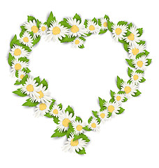 Image showing Daisy Flowers in Form Heart Isolated on White Background