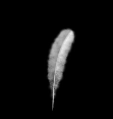 Image showing White Feather isolated on Black Background