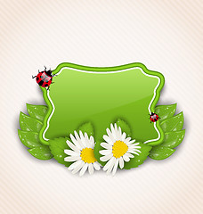 Image showing Cute spring card with flower daisies, leaves, ladybugs
