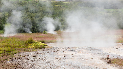 Image showing Geothermally active valley of Haukadalur