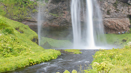 Image showing Seljalandsfoss - Iceland - Detail