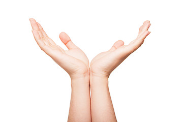 Image showing Two hands protecting something.