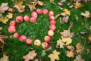 Image showing apples in heart shape and autumn leaves on grass