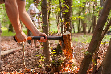 Image showing Chopping wood with an axe