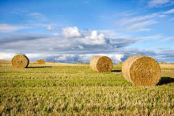 Image showing agricultural field and blue sky