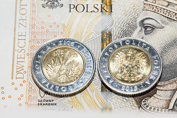 Image showing Polish coins close up