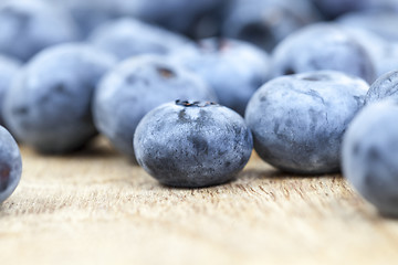 Image showing ripe berries blueberry