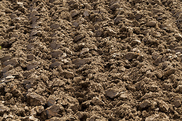 Image showing plowed agricultural field