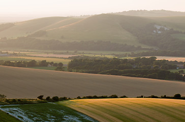 Image showing Sussex Downs at Sunset