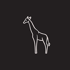 Image showing Giraffe sketch icon.