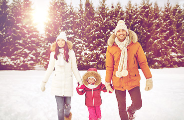 Image showing happy family in winter clothes walking outdoors