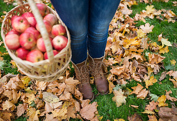 Image showing woman with basket of apples at autumn garden