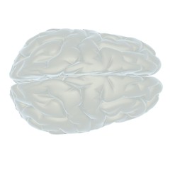 Image showing 3D illustration of human brain