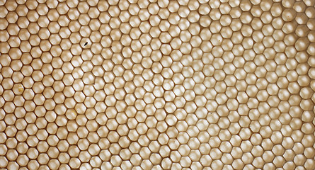 Image showing honey texture