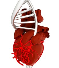 Image showing DNA and heart. 3d illustration