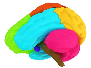 Image showing creative concept with 3d rendered colourful brain