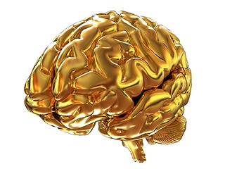 Image showing Gold brain. 3d render