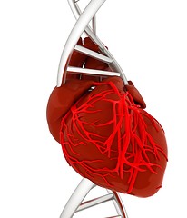 Image showing DNA and heart. 3d illustration