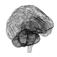 Image showing Creative concept of the human brain