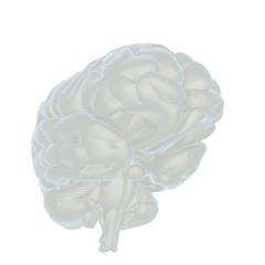 Image showing 3D illustration of human brain