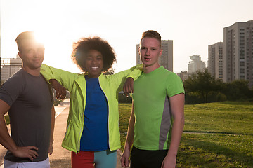 Image showing portrait multiethnic group of people on the jogging