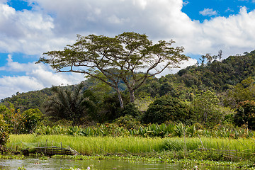 Image showing Madagascar river landscape