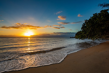 Image showing Beautiful dream paradise beach, Madagascar