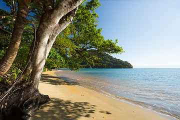 Image showing Beautiful dream paradise beach, Madagascar