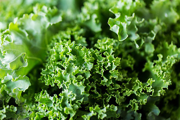 Image showing close up of green salad lettuce