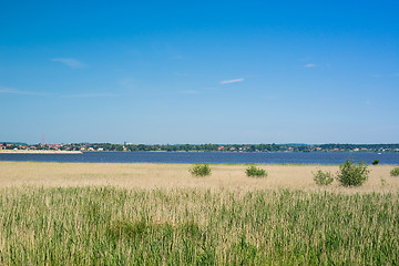 Image showing Coast landscape with grass by the water