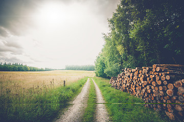 Image showing Wooden logs by a roadside