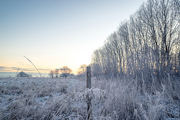 Image showing Fence post on a frosty field