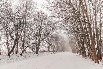 Image showing Nature path covered with snow