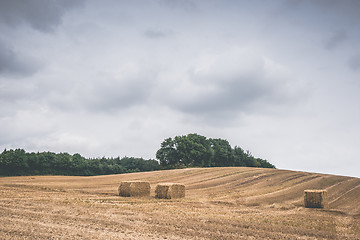 Image showing Countryside landscape with hay bales on a harvested field