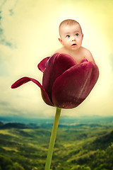 Image showing Th baby on red tulip collage