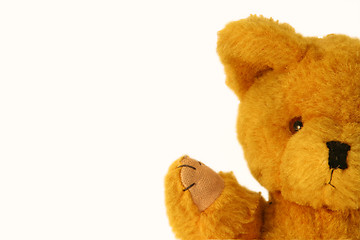 Image showing Teddybear