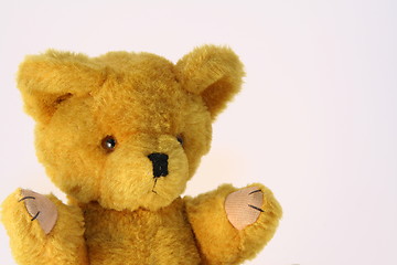 Image showing Teddy