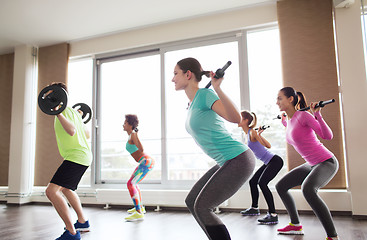 Image showing group of people exercising with barbell in gym