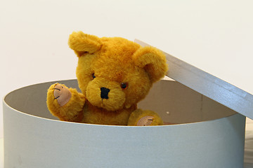 Image showing Teddy bear in a box