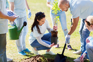 Image showing group of volunteers planting tree in park