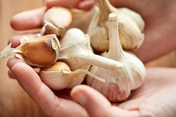 Image showing close up of woman hands holding garlic