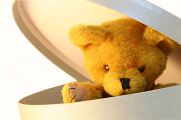 Image showing Teddy in a box