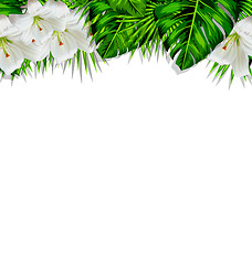 Image showing Frame branch tropical leaves and white flowers lily