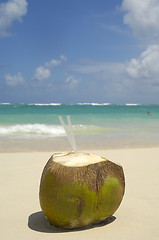 Image showing Coconut drink on exotic beach