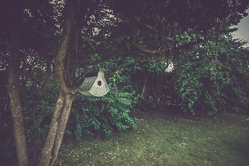 Image showing Birdhouse hanging in a tree