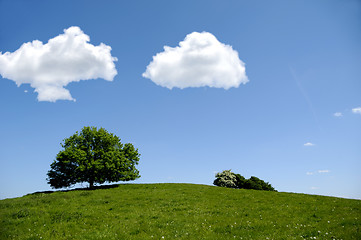 Image showing Tree on hill with clouds